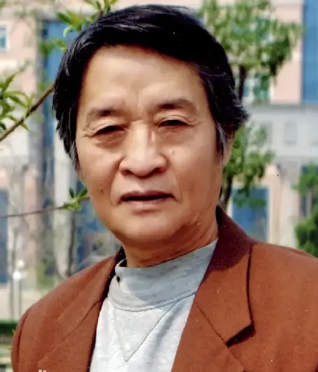 白显文