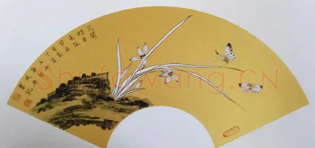 杨政委·重生蜕变