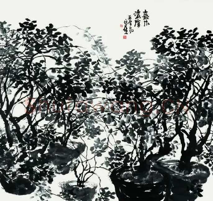 王云亮·嘉木浓荫
