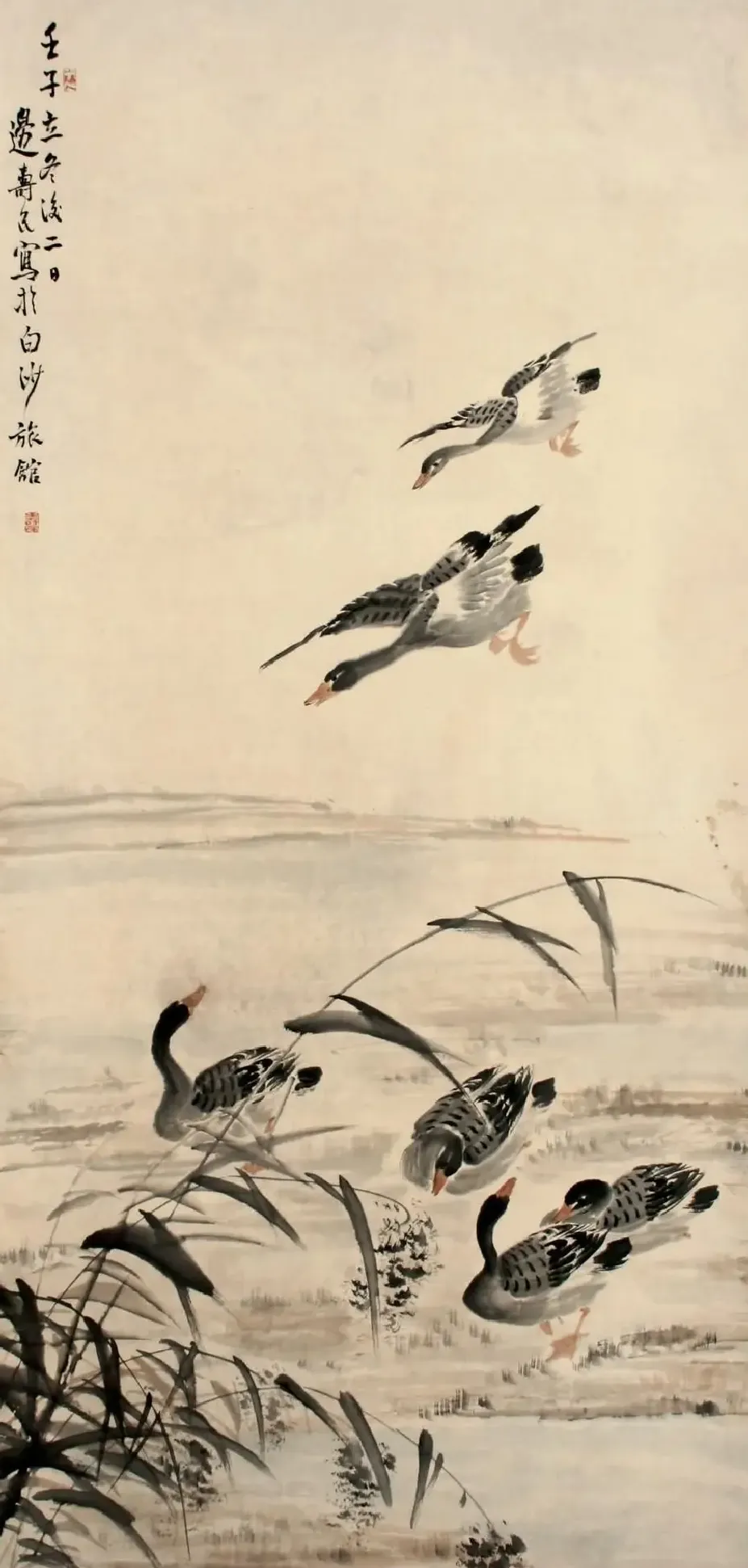 边寿民·芦雁