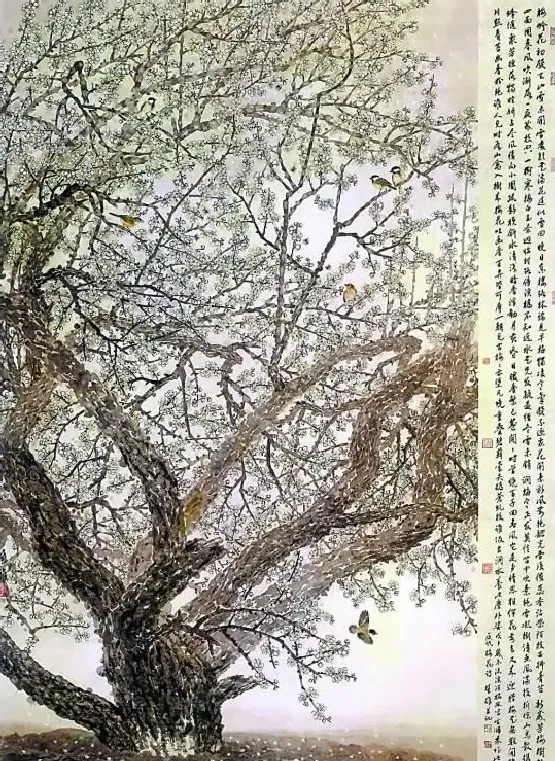 方楚雄·香雪悠情