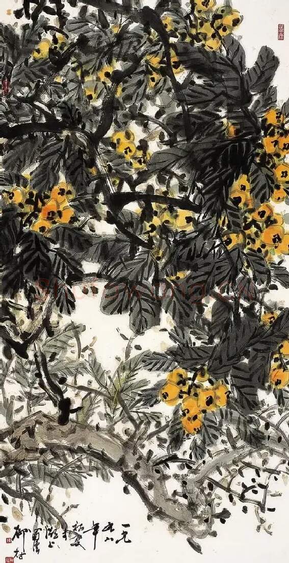 柳村·枇杷