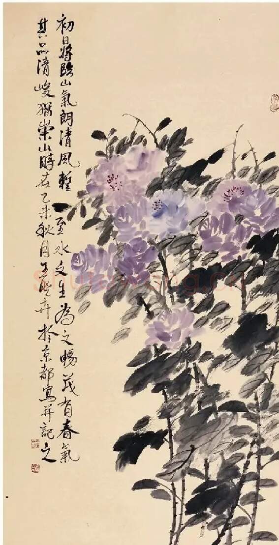 王晓卉·春风得意时