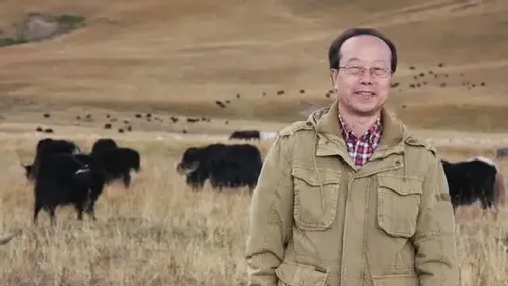 翟建平