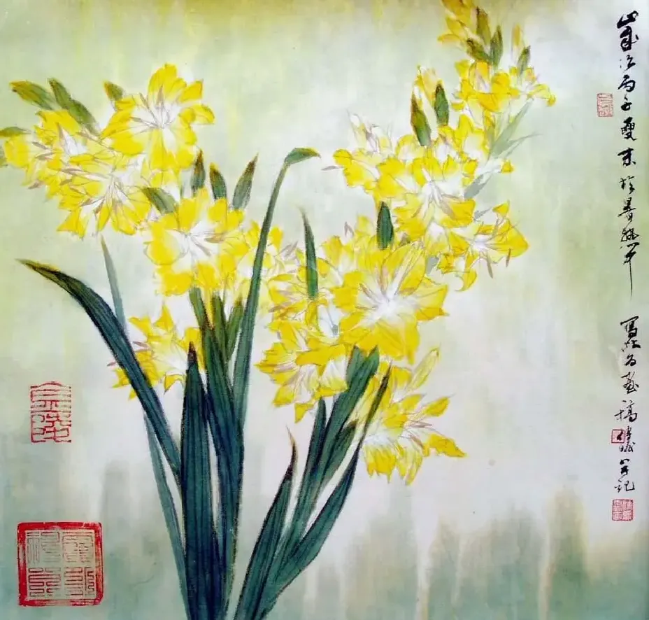 舒传曦·花卉