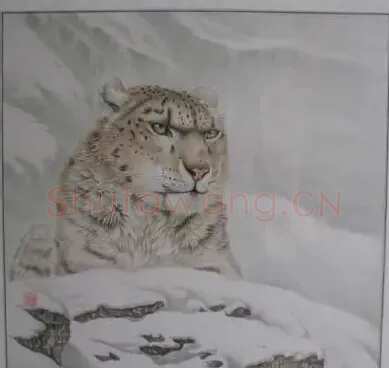 马宝林·天山雪豹