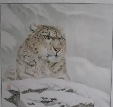 马宝林·天山雪豹
