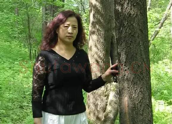 尹宪华