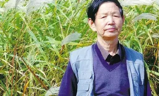陈沛钰
