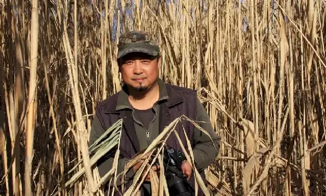 张禾