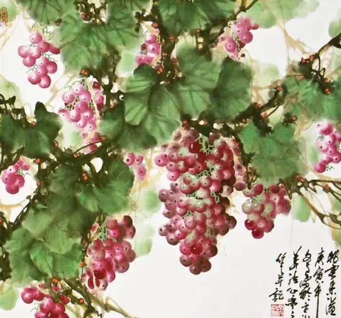常文良·葡萄