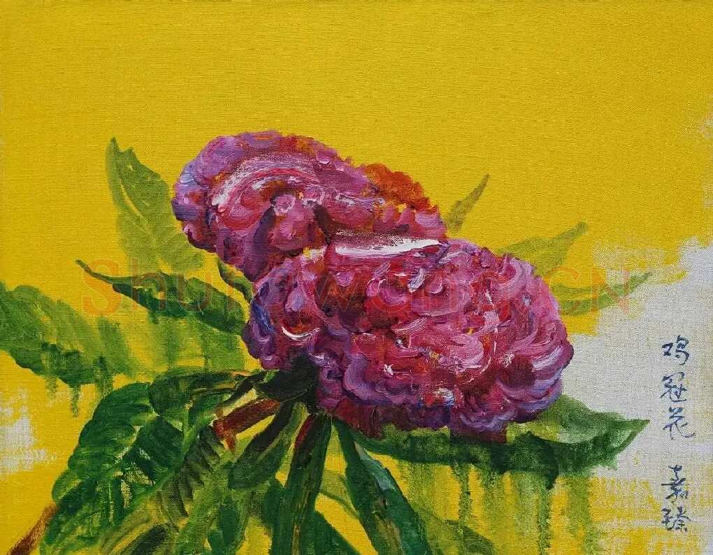符嘉臻·鸡冠花