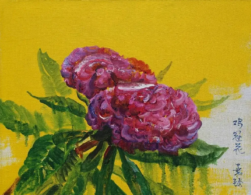 符嘉臻·鸡冠花