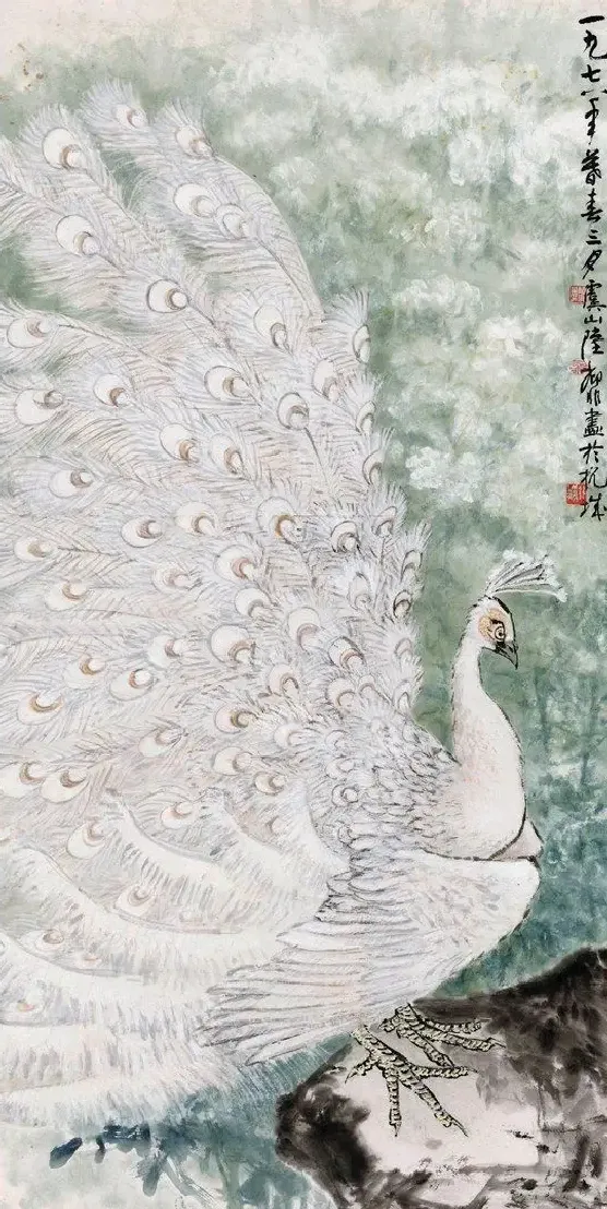 陆抑非·白孔雀