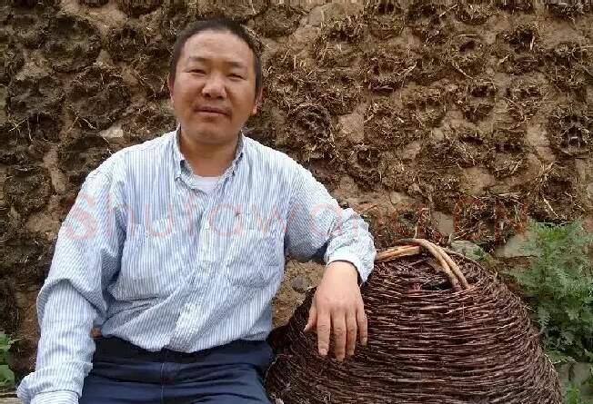 张洪春