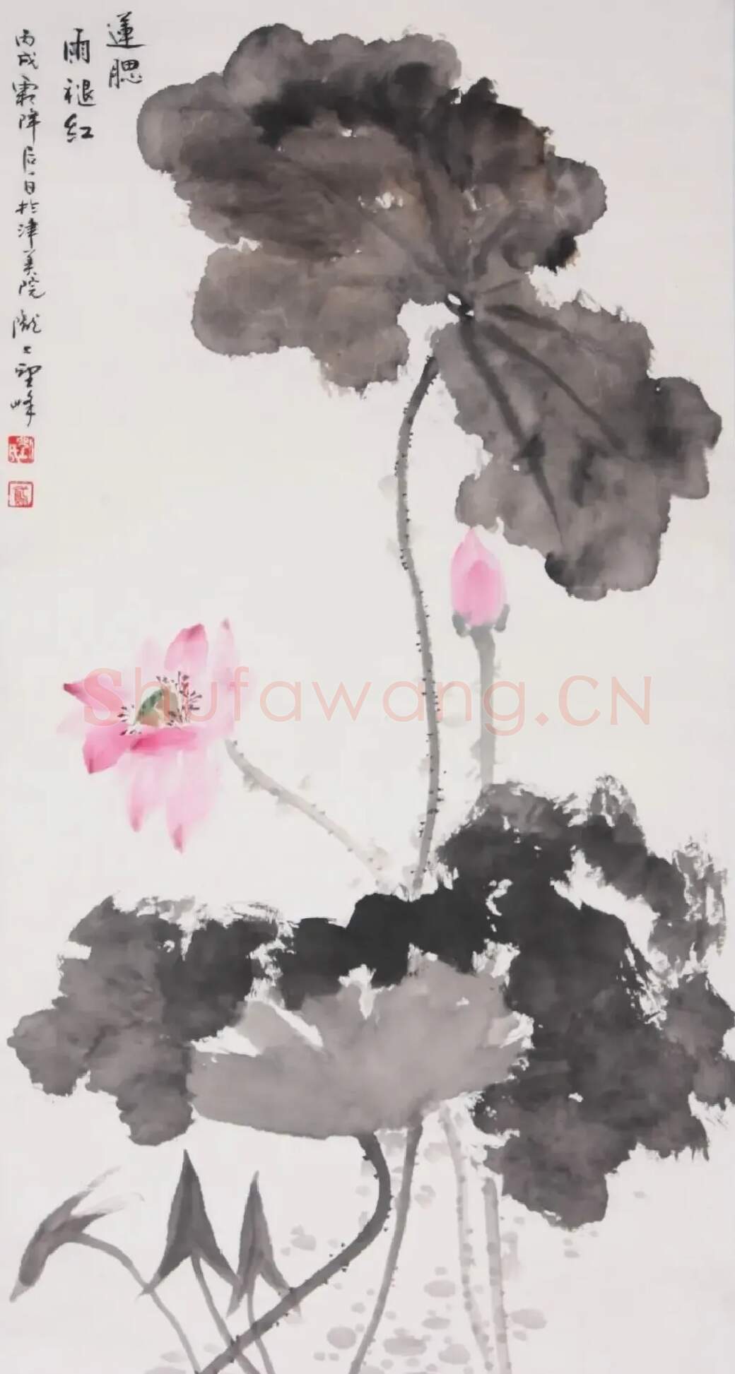 刘鸢·莲腮雨退红