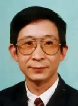 赵金鸰