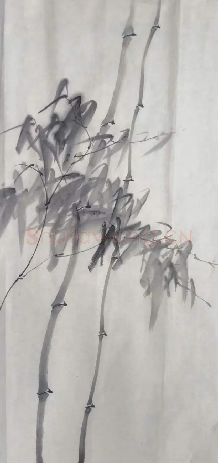 曾军·清致有界