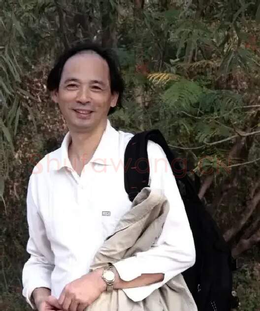 陈清平
