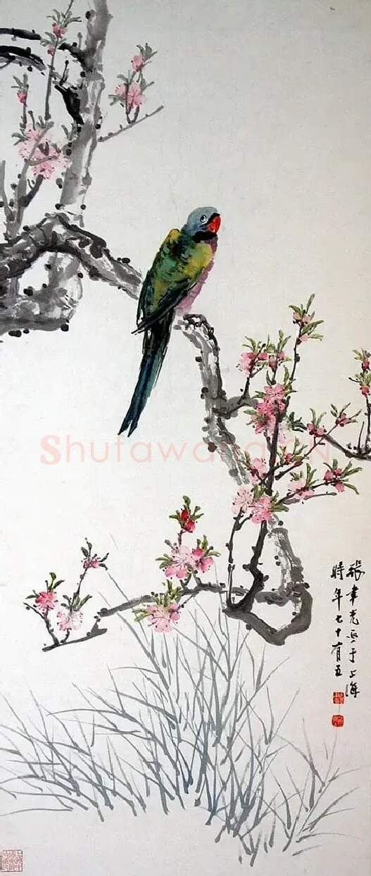 张聿光·《鹦鹉》
