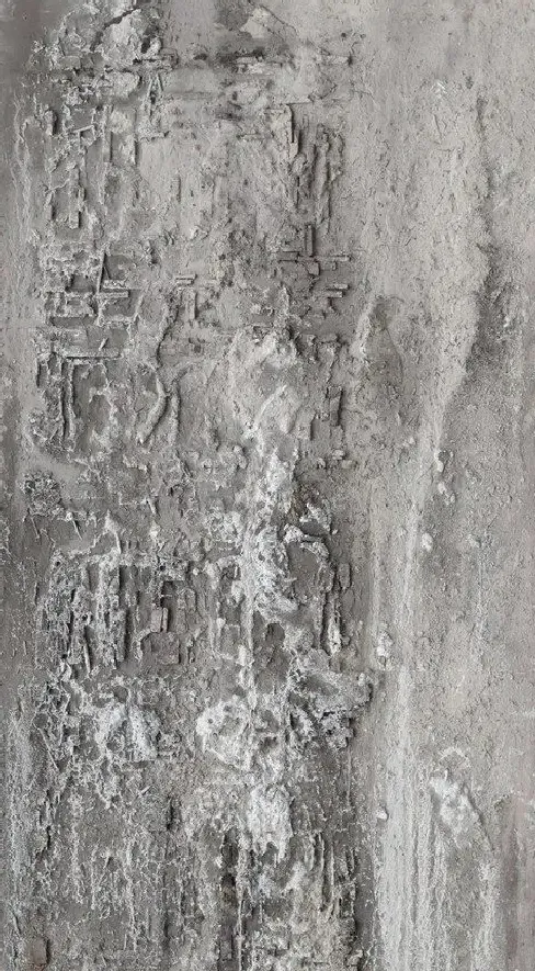 徐海军·《域》