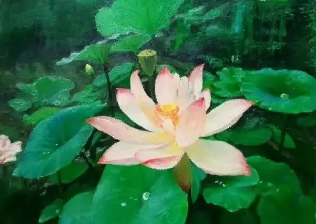 杨旭光·盛开的芋叶
