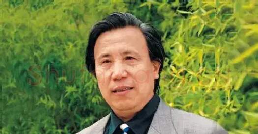 叶维