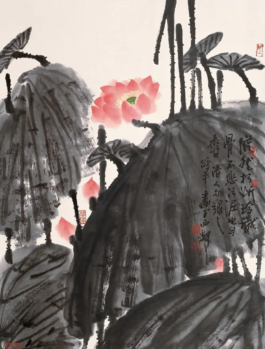 邢鸽平·荷花