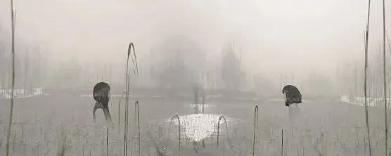 崔岫闻·真空妙有