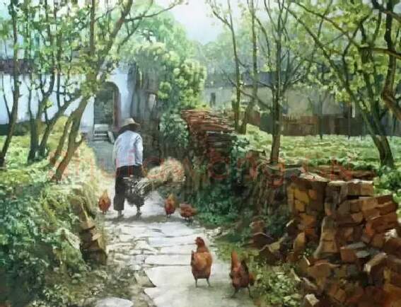 杨涤江·阳光后院