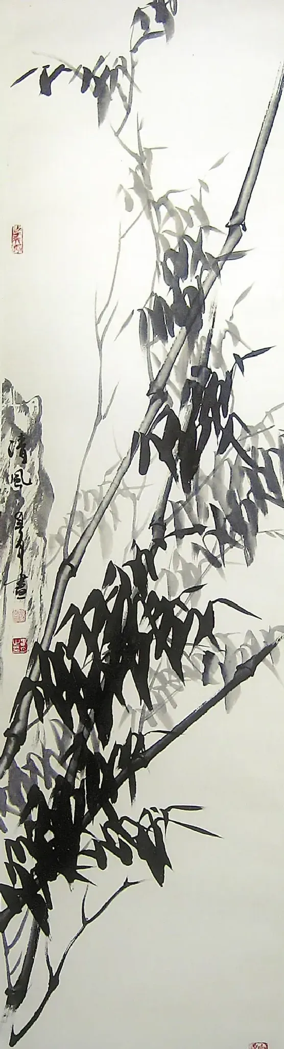 常春月·清风