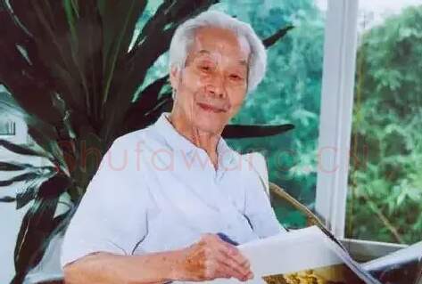 阳太阳