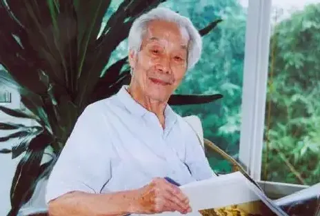 阳太阳
