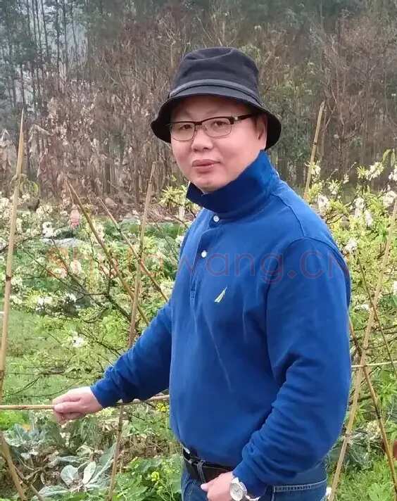 张及时
