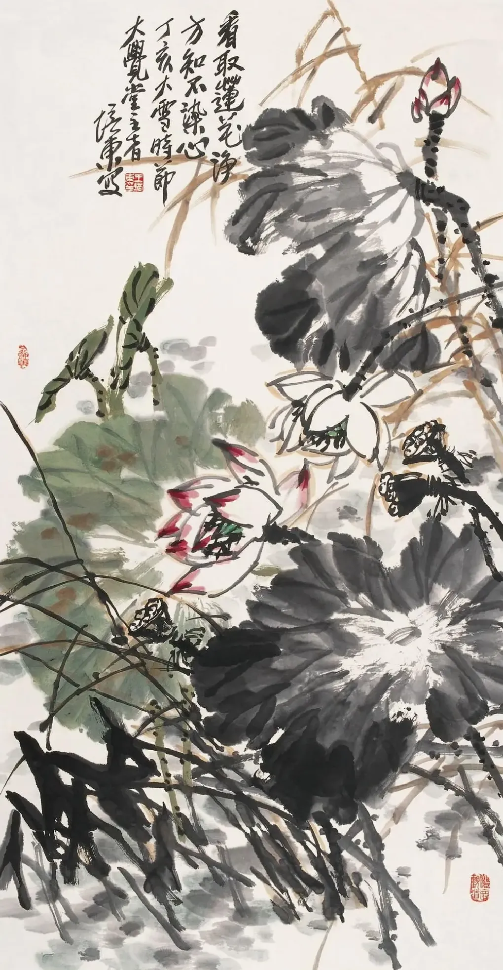 王培东·看取莲花净