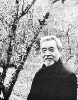张治安