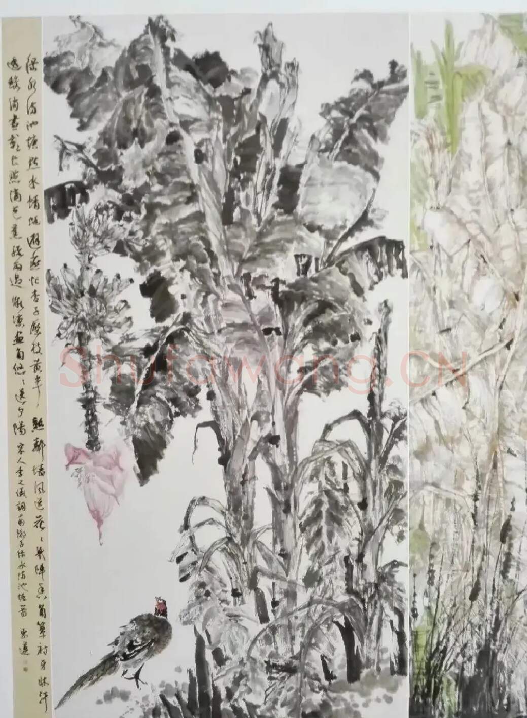 段东莲·《蕉林听风》