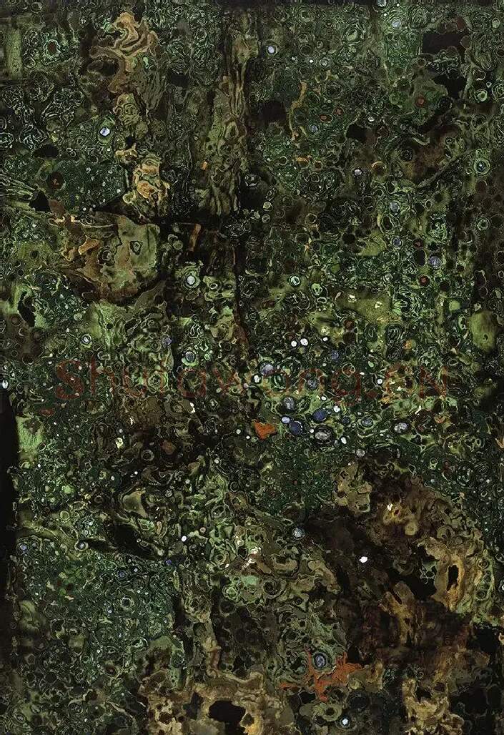 佘国华·荫荫近道