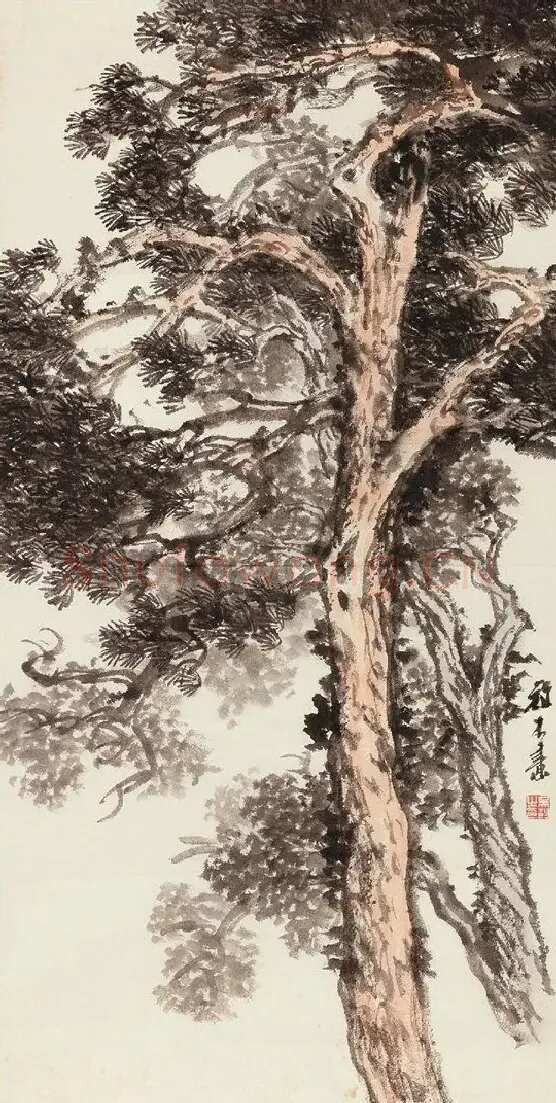 吴䍩木·松柏