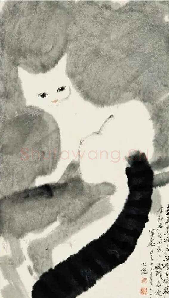 杨之光·爱猫