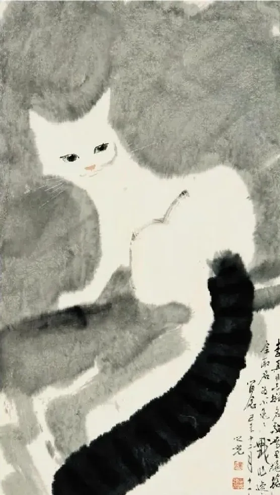 杨之光·爱猫