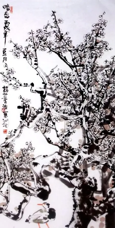 李波·梅花