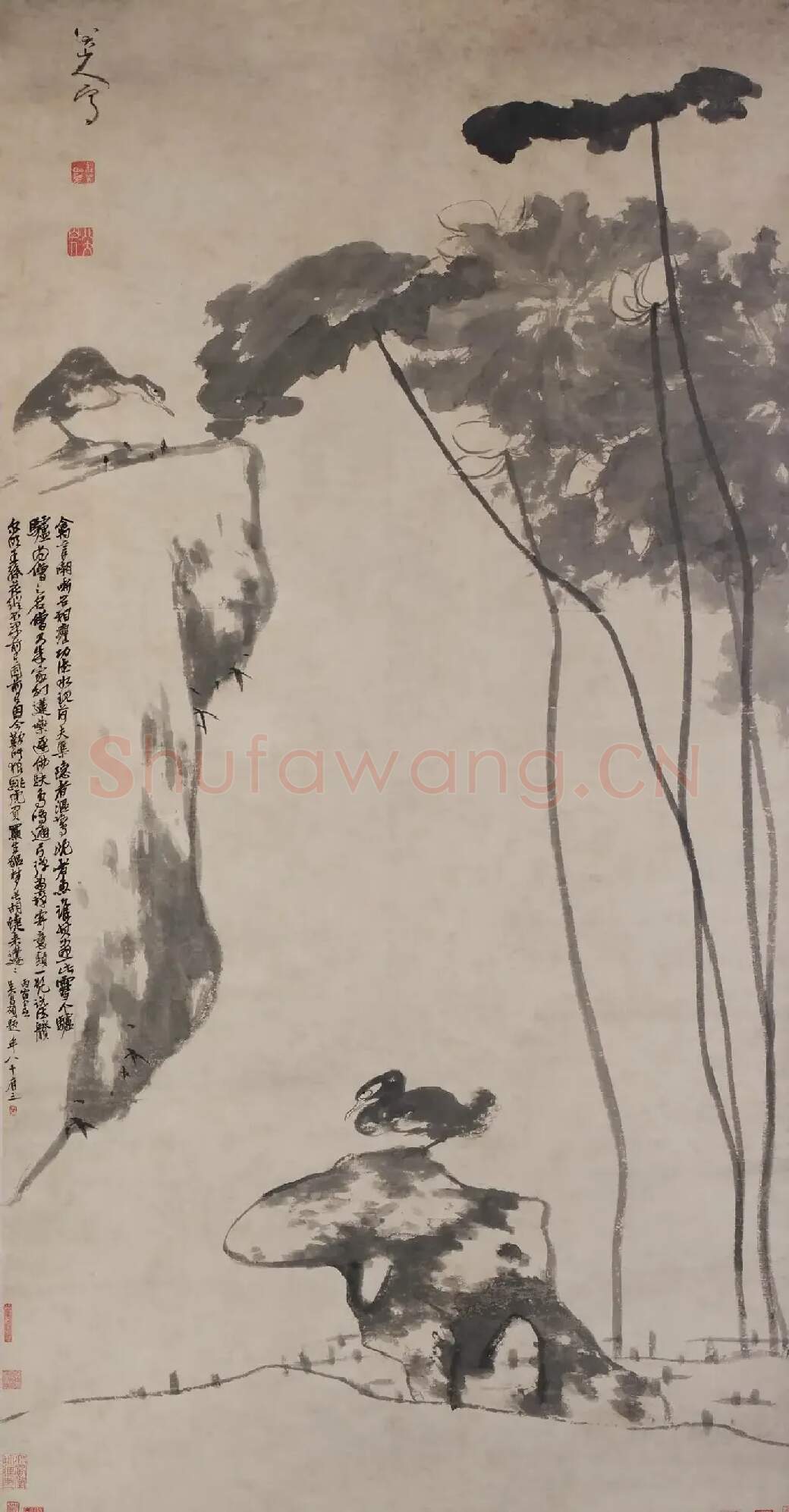 八大山人·荷凫图 