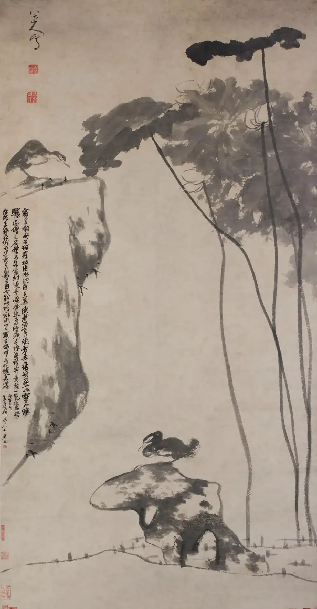 八大山人·荷凫图 