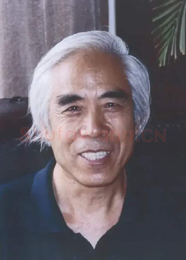 卢俊才
