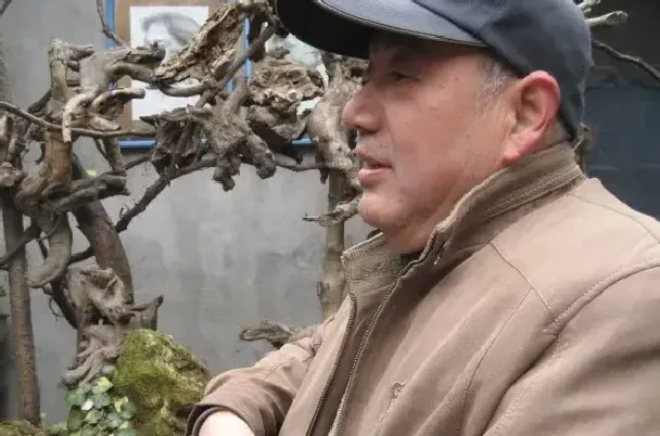 索枫林
