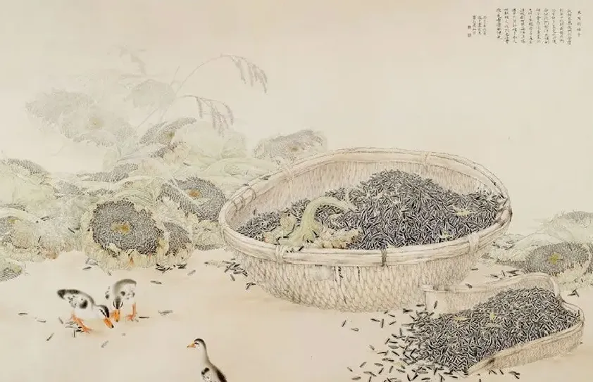 陈凤壬·一地阳光