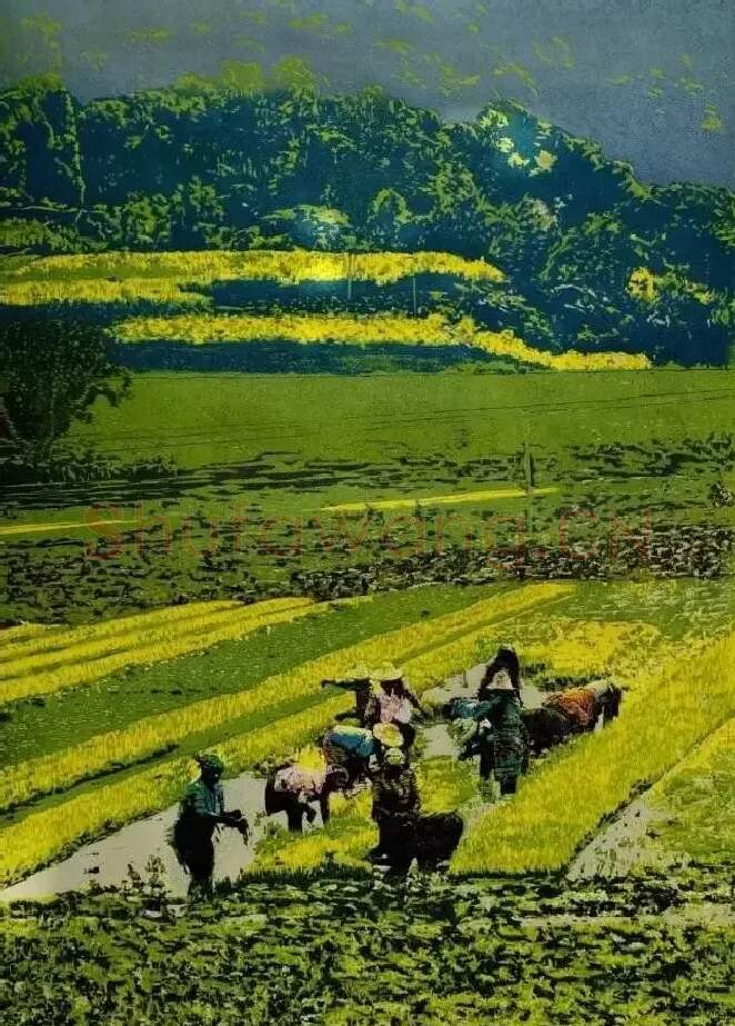 朱锐·作品
