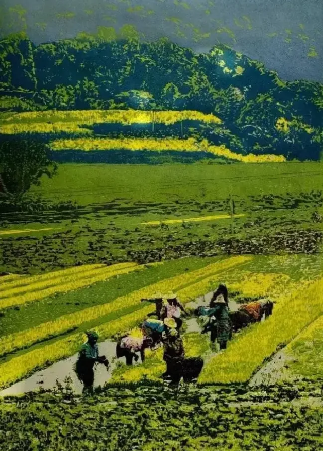 朱锐·作品