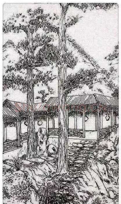 王曦晨·作品